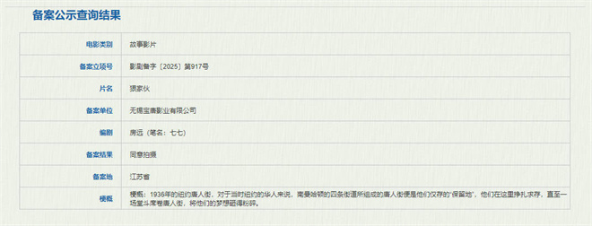 电影《狠家伙》立项 王宝强御用编剧房远执笔！