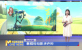 暑期檔電影慶芒種