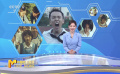 奔跑吧，青春——银幕上那些动人的飞驰而过