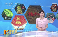 《中國(guó)電影報(bào)道》第158期（20250607）