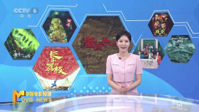 《中國電影報(bào)道》第158期（20250607）