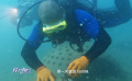 《佳片有約》潛入海南海底 探尋銀幕外的海洋傷痕
