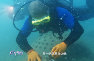 《佳片有約》潛入海南海底 探尋銀幕外的海洋傷痕
