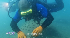 《佳片有约》潜入海南海底 探寻银幕外的海洋伤痕