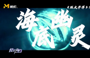潛入海底，探尋“海底幽靈”