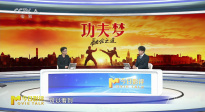 《功夫夢(mèng)：融合之道》拳腳只是皮膚，文化才是內(nèi)核