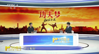 《功夫梦：融合之道》拳脚只是皮肤，文化才是内核