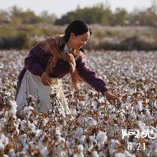 阿克達拉