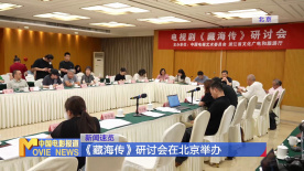 《藏海传》研讨会在北京举办