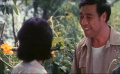 流浪漢與天鵝：春芽與杏花，以及對(duì)于共同活動(dòng)的回憶