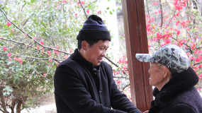 代富文