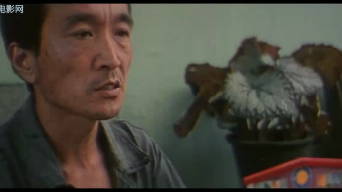 流浪汉与天鹅：春柳生活困苦