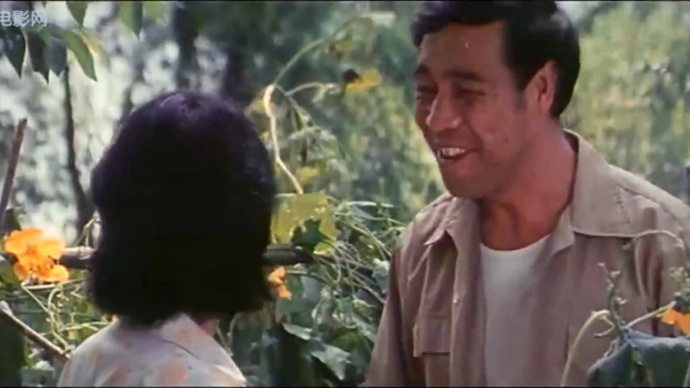 流浪汉与天鹅：春芽与杏花，以及对于共同活动的回忆