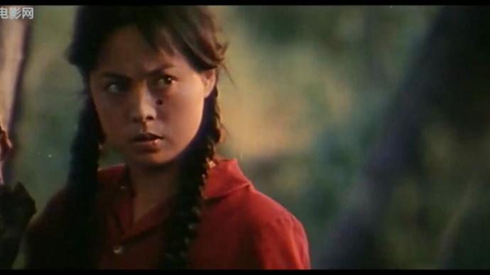 流浪汉与天鹅：家庭成员间的情感纠葛和和解