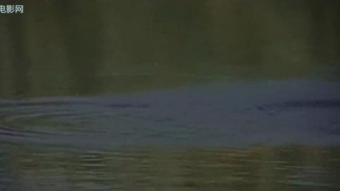 流浪汉与天鹅：日常的嘱咐和关心