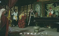 大漠紫禁令：和平共处