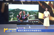 楊妞花真實(shí)經(jīng)歷將被影視化