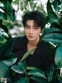 王俊凯盛夏光年大片 展现一纪成长轨迹与艺术沉淀