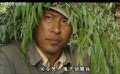 呂正操1942：滏陽河畔驚險(xiǎn)對(duì)峙，智勇突圍抗敵