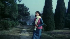 妈妈，你在哪里：孩子认错人，求姨妈带他见妈妈