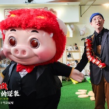 豬豬俠·一只老豬的逆襲