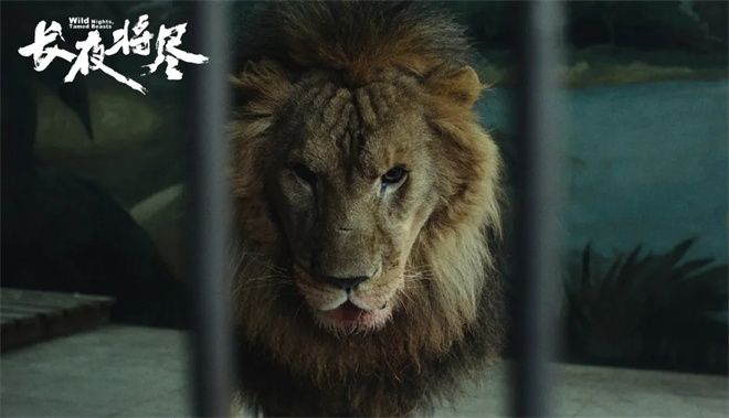 万茜变保姆杀手、饶晓志首当主演 这部片好敢拍！