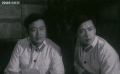 暗礁：《暗戰(zhàn)壁虎潛伏：敵特行動全面揭秘》