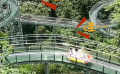 夏天的正確打開方式！李嘉豪 任璐遙昭通挑戰(zhàn)山谷漂流