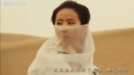 白幽灵传奇之绝命逃亡：护航途中惊险重重：盐山土匪与新源险境
