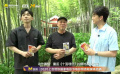 《十面埋伏》霍廷霄：当时的竹林太过原生态，为了拍电影甚至花钱修了一条路