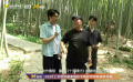 霍廷霄談為什么《十面埋伏》最后選在了永川的竹林
