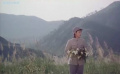 百合花：百合花開，青山深處的絕美靜謐