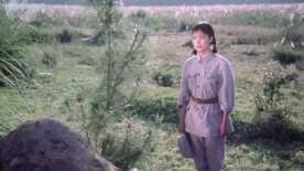 百合花：百合花盛开，难忘英雄与回忆