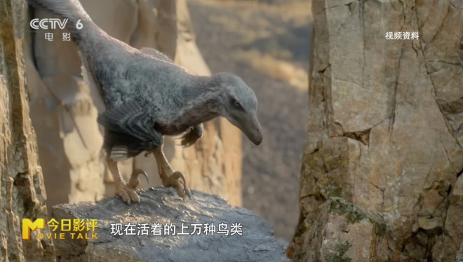 今日影评|霸王龙前肢短小，居然是怕被同伴咬掉？