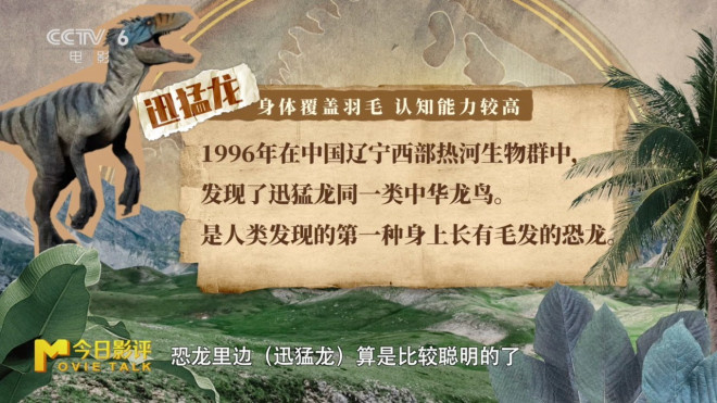今日影评|霸王龙前肢短小，居然是怕被同伴咬掉？