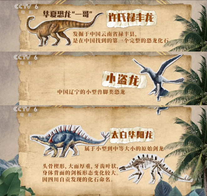 今日影评|霸王龙前肢短小，居然是怕被同伴咬掉？
