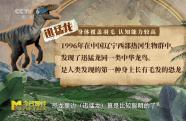 科學家說恐龍在某種程度上并沒有滅絕