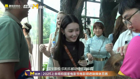 2025上合组织国家电影节 金泽、蒋依依等人喂树懒