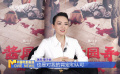 章子怡：《醬園弄·懸案》展現(xiàn)女性覺醒與互助力量