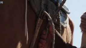 决战狂沙镇：镇中寻人风波，三天期限待结局！