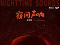 《夜间声响》海报
