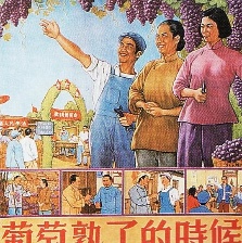 葡萄熟了的時候