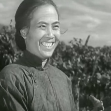 葡萄熟了的時候