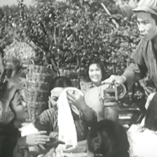 葡萄熟了的時候