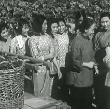 葡萄熟了的時候