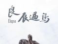 《良辰过鸟》海报