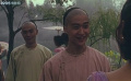 功夫小子闖情關(guān)：發(fā)放民主傳單的冒險(xiǎn)！