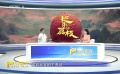 解析《长安的荔枝》的“荔史”密码
