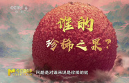 荔枝為什么是洞察時(shí)代的切口？