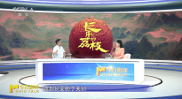 解析《長(zhǎng)安的荔枝》的“荔史”密碼